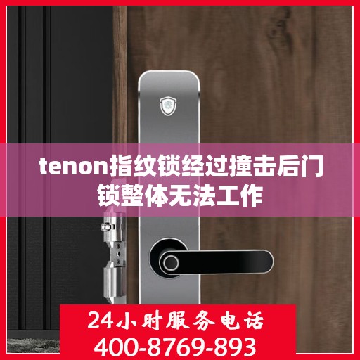 tenon指纹锁经过撞击后门锁整体无法工作