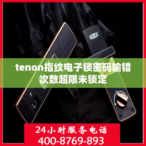 tenon指纹电子锁密码输错次数超限未锁定