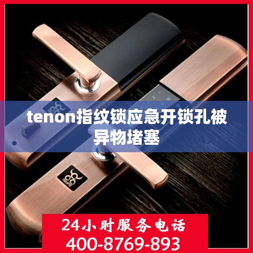 tenon指纹锁应急开锁孔被异物堵塞
