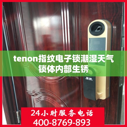 tenon指纹电子锁潮湿天气锁体内部生锈