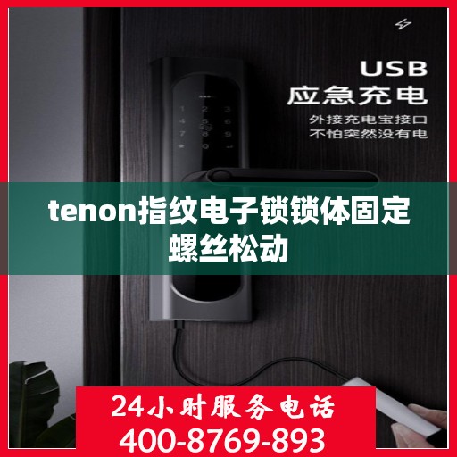 tenon指纹电子锁锁体固定螺丝松动