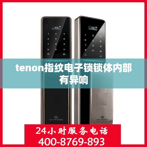 tenon指纹电子锁锁体内部有异响
