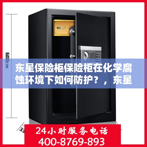 东星保险柜保险柜在化学腐蚀环境下如何防护？，东星保险柜在化学腐蚀环境下的防护策略解析