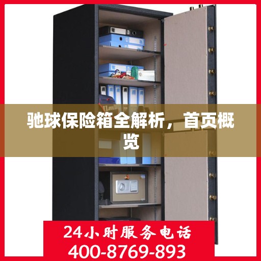 驰球保险箱全解析，首页概览