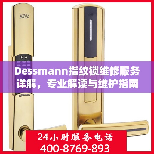 Dessmann指纹锁维修服务详解，专业解读与维护指南