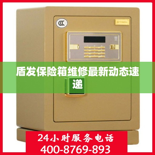 盾发保险箱维修最新动态速递