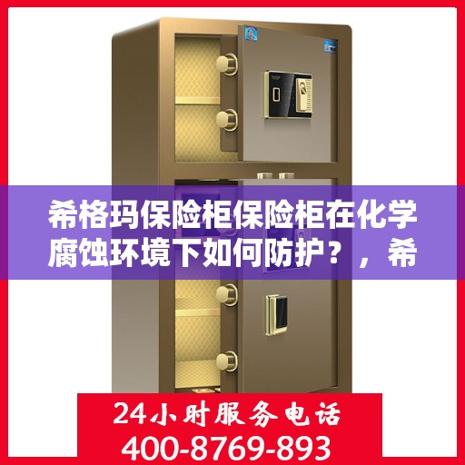 希格玛保险柜保险柜在化学腐蚀环境下如何防护？，希格玛保险柜防护化学腐蚀环境的策略与措施