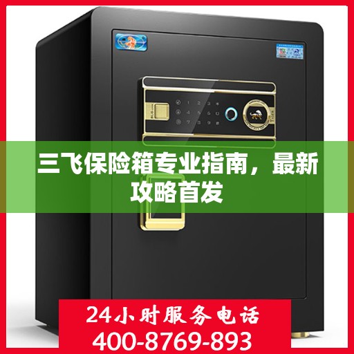 三飞保险箱专业指南，最新攻略首发