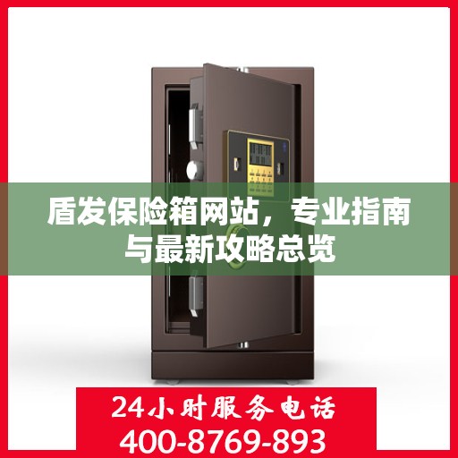 盾发保险箱网站，专业指南与最新攻略总览