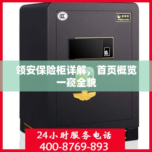 领安保险柜详解，首页概览一窥全貌