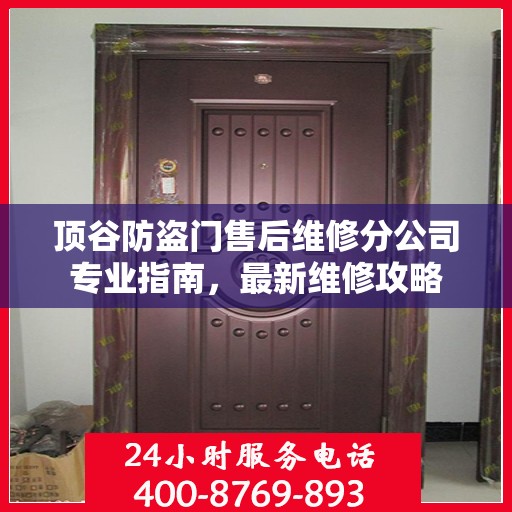 顶谷防盗门售后维修分公司专业指南，最新维修攻略