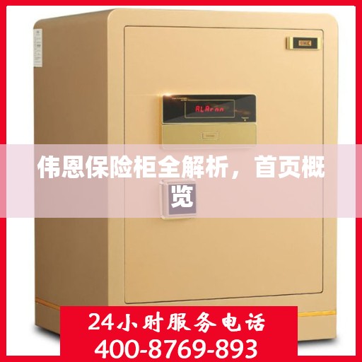 伟恩保险柜全解析，首页概览