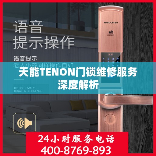 天能TENON门锁维修服务深度解析