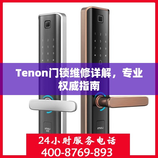 Tenon门锁维修详解，专业权威指南