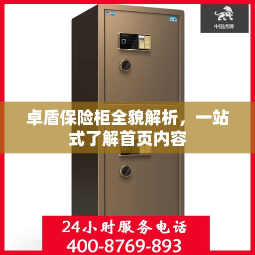 卓盾保险柜全貌解析，一站式了解首页内容