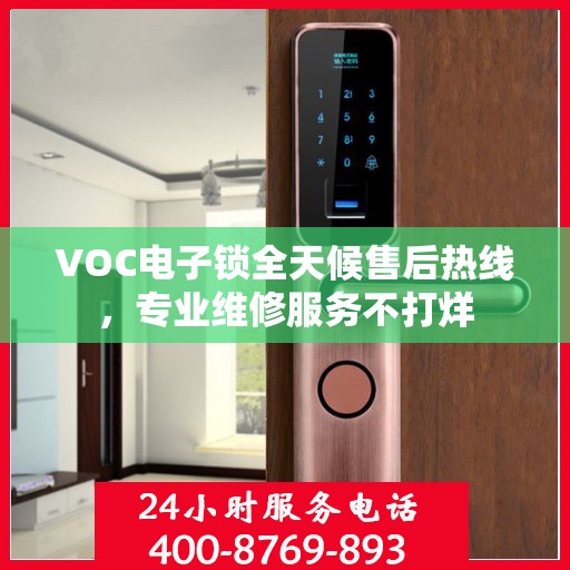 VOC电子锁全天候售后热线，专业维修服务不打烊