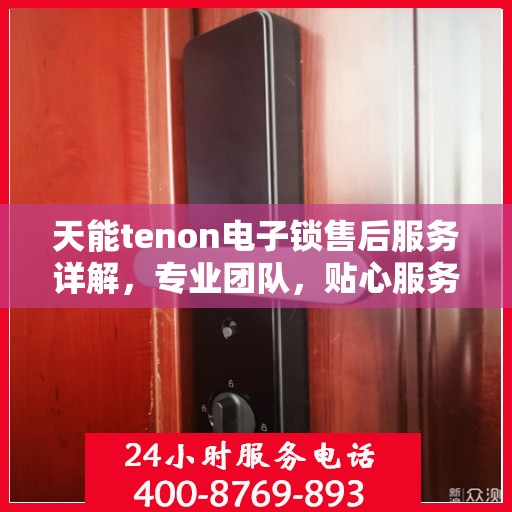 天能tenon电子锁售后服务详解，专业团队，贴心服务保障安全！