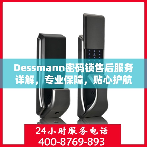 Dessmann密码锁售后服务详解，专业保障，贴心护航您的安全锁事