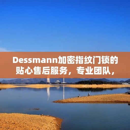 Dessmann加密指纹门锁的贴心售后服务，专业团队，全方位保障