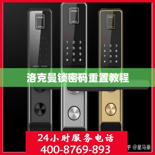 洛克曼锁密码重置教程