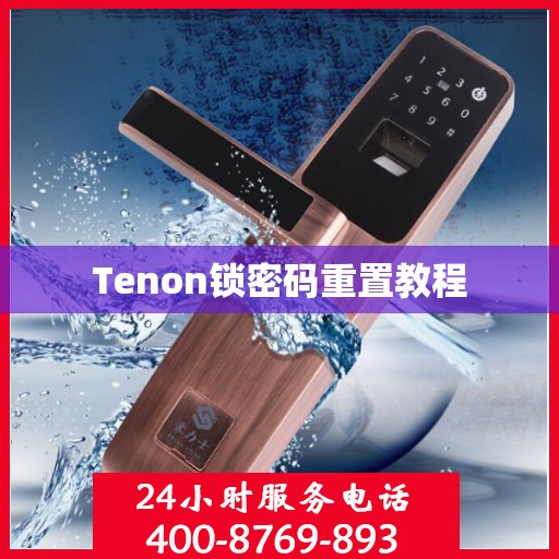 Tenon锁密码重置教程