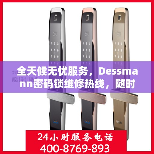 全天候无忧服务，Dessmann密码锁维修热线，随时响应您的需求
