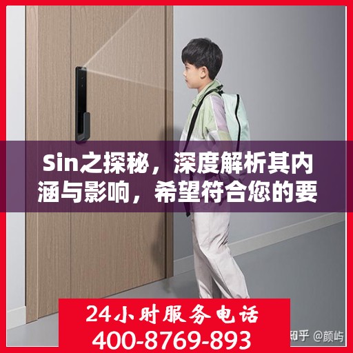 Sin之探秘，深度解析其内涵与影响，希望符合您的要求，您也可酌情调整。