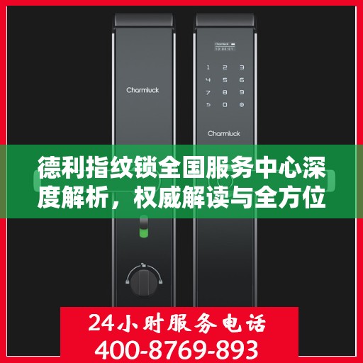 德利指纹锁全国服务中心深度解析，权威解读与全方位服务体验