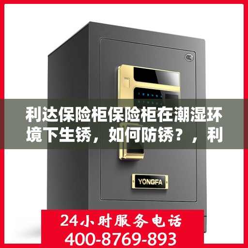 利达保险柜保险柜在潮湿环境下生锈，如何防锈？，利达保险柜防潮防锈攻略，应对潮湿环境的防锈措施