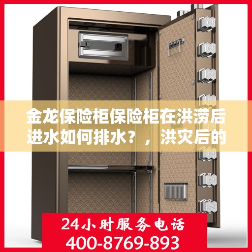 金龙保险柜保险柜在洪涝后进水如何排水？，洪灾后的金龙保险柜排水指南，如何有效处理进水问题？
